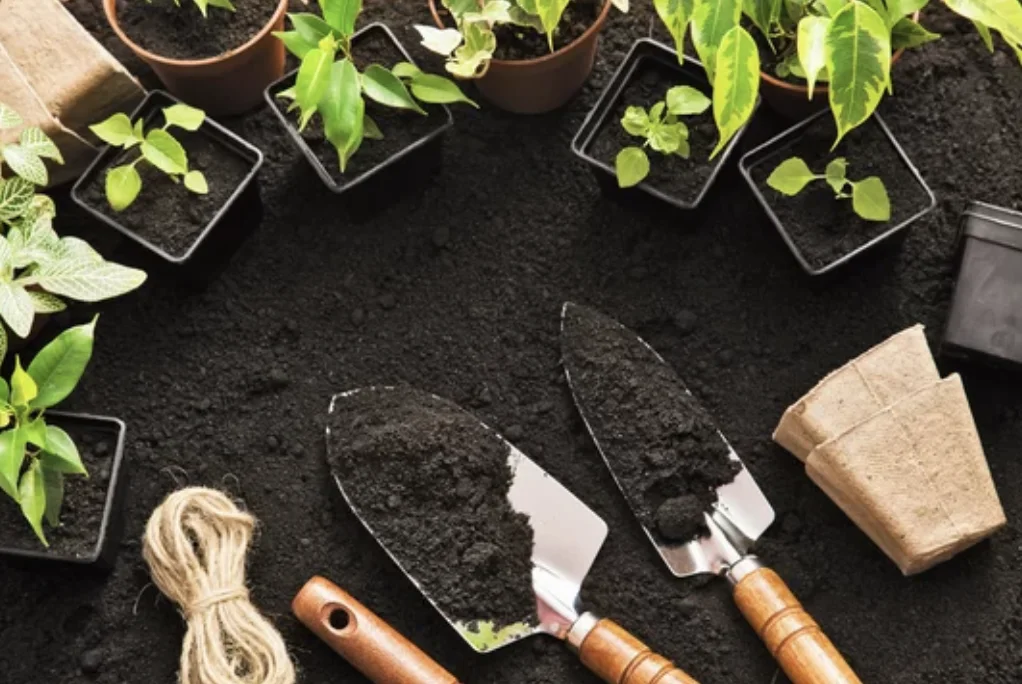 Organic Gardening